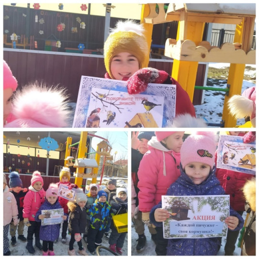 Акция "Каждой пичужке по кормушке" Акция "Каждой пичужке по кормушке".