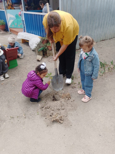 Экологическая акция «Посади дерево!». Экологическая акция «Посади дерево!».